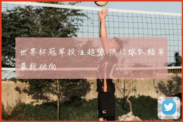 世界杯冠军投注趋势 热门球队赔率最新动向