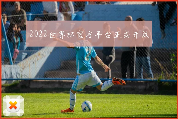 2022世界杯官方平台正式开放